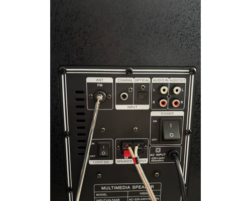Акустична система Temeisheng 10303A з двома мікрофонами, 800W