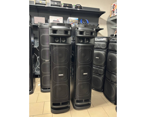 Акустична система Temeisheng 10303A з двома мікрофонами, 800W