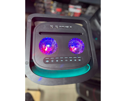 Акустична система Temeisheng 10303A з двома мікрофонами, 800W