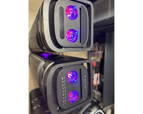 Акустична система Temeisheng 10303A з двома мікрофонами, 800W
