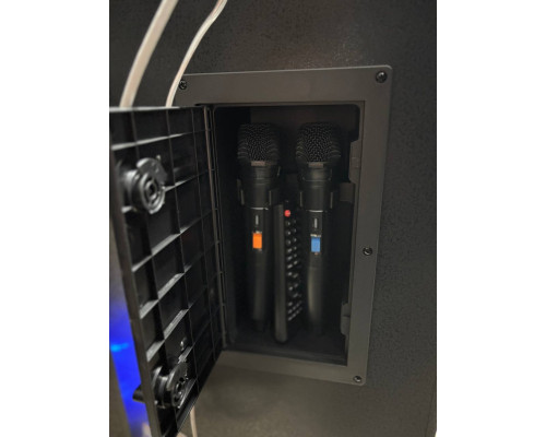 Акустична система Temeisheng 10303A з двома мікрофонами, 800W