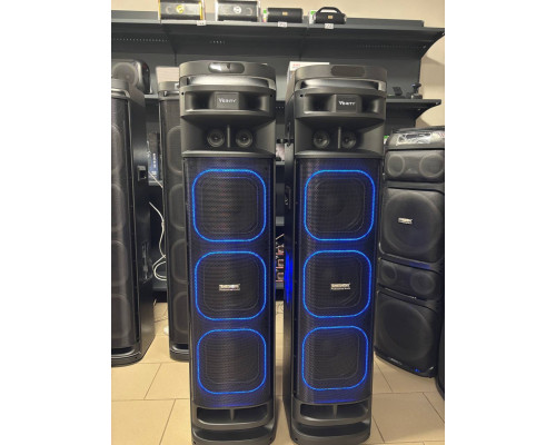 Акустична система Temeisheng 10303A з двома мікрофонами, 800W