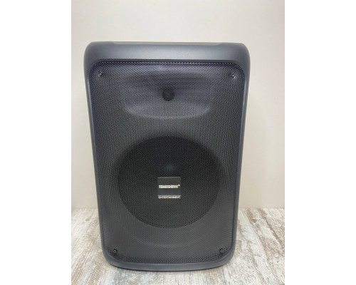 Temeisheng S-12 bluetooth колонка