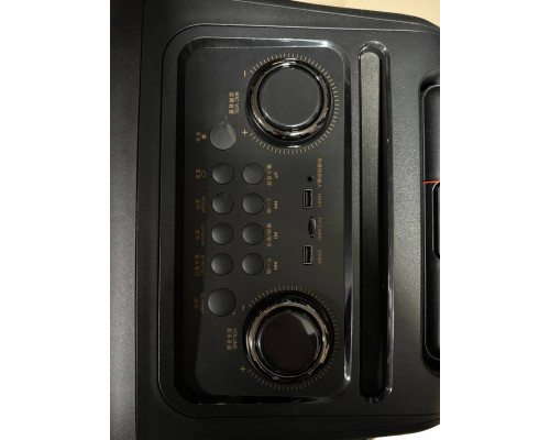 Портативна професійна акустика Temeisheng SL12-22, 300W