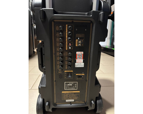 Портативна професійна акустика Temeisheng SL12-22, 300W
