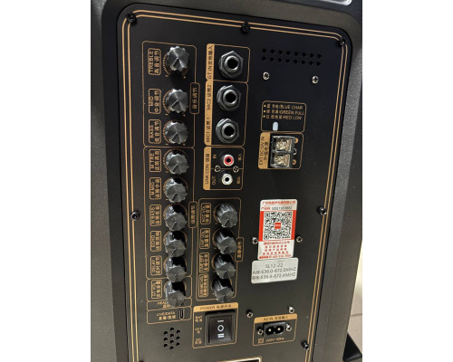 Портативна професійна акустика Temeisheng SL12-22, 300W