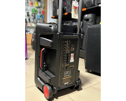Портативна професійна акустика Temeisheng SL12-22, 300W