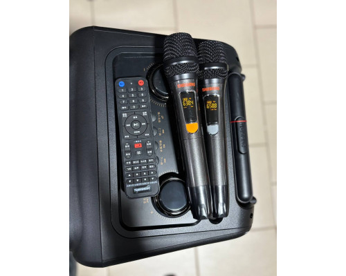 Портативна професійна акустика Temeisheng SL12-22, 300W