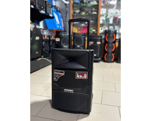 Портативна акумуляторна музична колонка Temeisheng A12-44, 50W