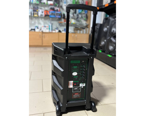 Портативна акумуляторна музична колонка Temeisheng A12-44, 50W