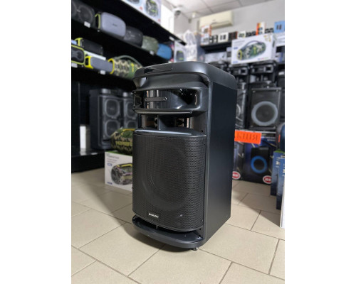 Музична колонка Goldteller GT12-88 (80W RMS / 800W PMPO)