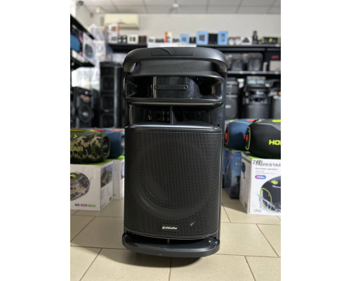 Музична колонка Goldteller GT12-88 (80W RMS / 800W PMPO)