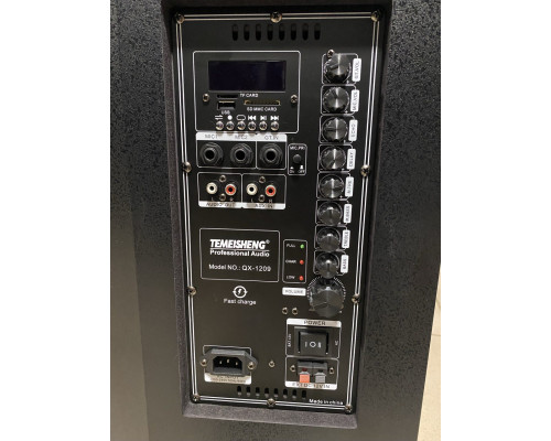 Портативна колонка з мікрофонами TMS QX-1209 300W (USB/Bluetooth/FM/Пульт ДК)