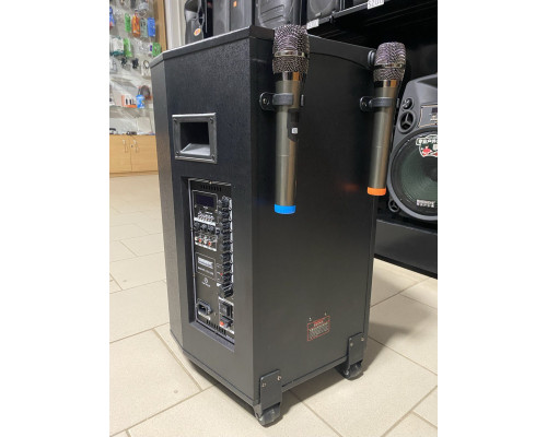 Портативна колонка з мікрофонами TMS QX-1209 300W (USB/Bluetooth/FM/Пульт ДК)
