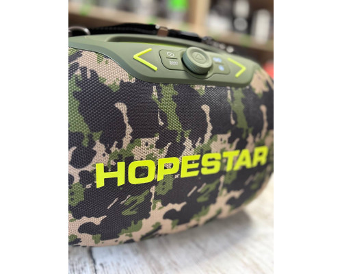 Портативна колонка з мікрофонами TMS QX-1209 300W (USB/Bluetooth/FM/Пульт ДК)