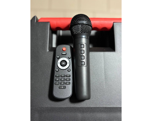 Портативна колонка Sing-e ZQS12203, 40W