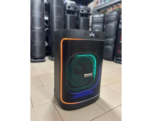Потужна музична колонка з 12" динаміком Temeisheng 1221A6, 200W