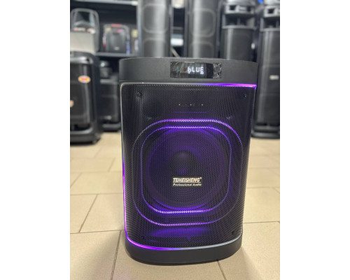 Потужна музична колонка з 12" динаміком Temeisheng 1221A6, 200W