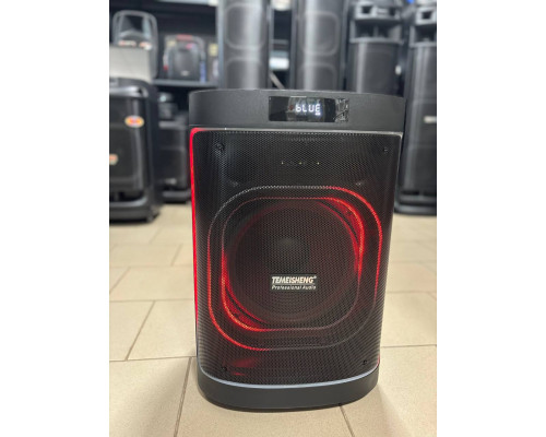 Потужна музична колонка з 12" динаміком Temeisheng 1221A6, 200W