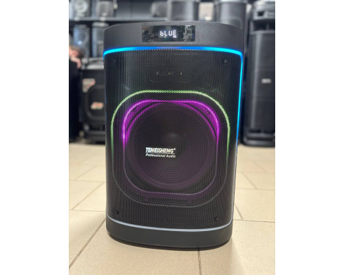 Потужна музична колонка з 12" динаміком Temeisheng 1221A6, 200W