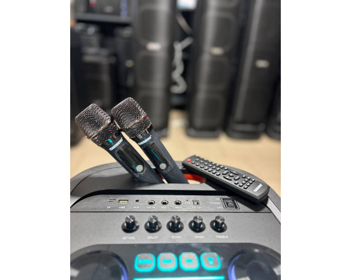 Потужна музична колонка з 12" динаміком Temeisheng 1221A6, 200W