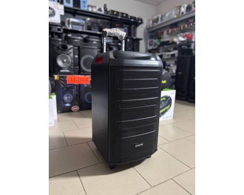 Потужна музична колонка Goldteller GT1280 (80W RMS / 800W PMPO)