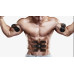 Міостимулятор для м'язів EMS TRAINER 3pcs (W-69)