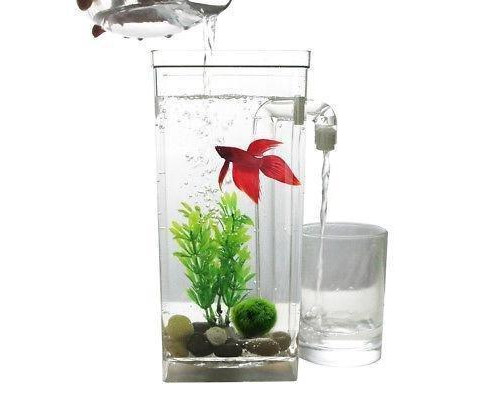 Акваріум самоочищається "My Fun Fish" (MW-1)