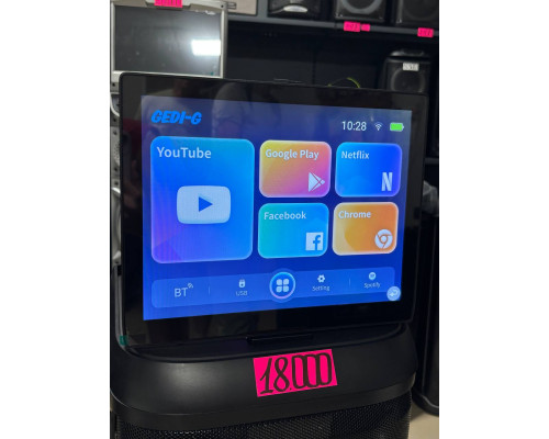 Караоке-система з екраном Gedi-G GD-1425 — 120W RMS, екран 14,1"