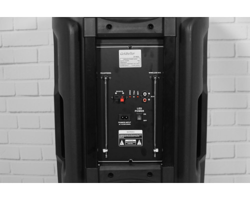 Акустична система Goldteller GT-6023 із двома мікрофонами
