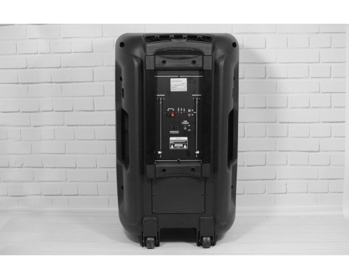 Акустична система Goldteller GT-6023 із двома мікрофонами