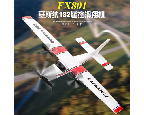 Літак "Cessna 182" (FX801)