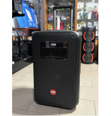 Портативна професійна акустика Temeisheng SL15-22, 400W