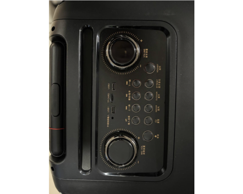Портативна професійна акустика Temeisheng SL15-22, 400W