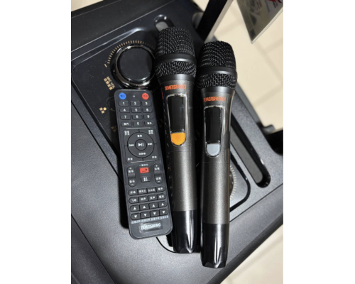 Портативна професійна акустика Temeisheng SL15-22, 400W
