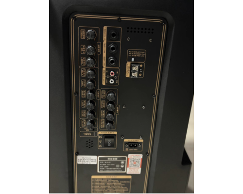 Портативна професійна акустика Temeisheng SL15-22, 400W