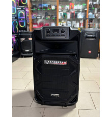Портативна акумуляторна музична колонка Temeisheng A15-31, 400W
