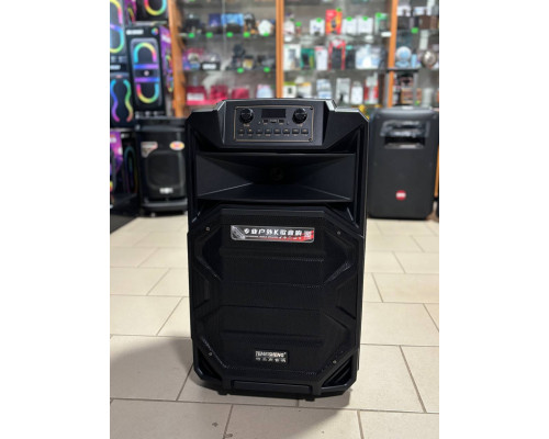 Портативна акумуляторна музична колонка Temeisheng A15-31, 400W
