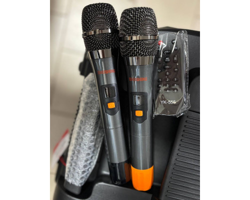 Портативна акумуляторна музична колонка Temeisheng A15-31, 400W