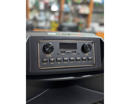 Портативна акумуляторна музична колонка Temeisheng A15-31, 400W