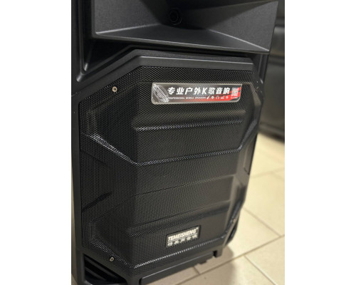 Портативна акумуляторна музична колонка Temeisheng A15-31, 400W