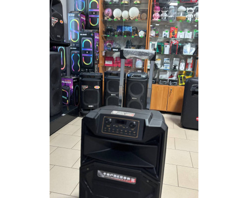 Портативна акумуляторна музична колонка Temeisheng A15-31, 400W