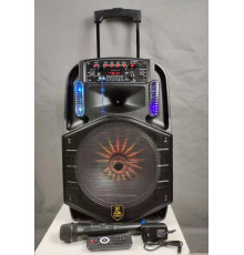 Акустична система CH8612 (12"х1) (30W) (Бездротовий мікрофон) (Пульт)