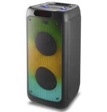 Акустична система RX-1001 (10"х2) (50W) (Бездротовий мікрофон) (Пульт)