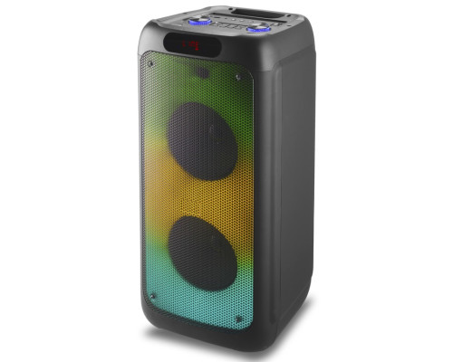 Акустична система RX-1001 (10"х2) (50W) (Бездротовий мікрофон) (Пульт)