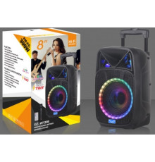 Акустична система NDR-W1308 (8"x1) (10W) (Бездротовий мікрофон) (18650) (Пульт)