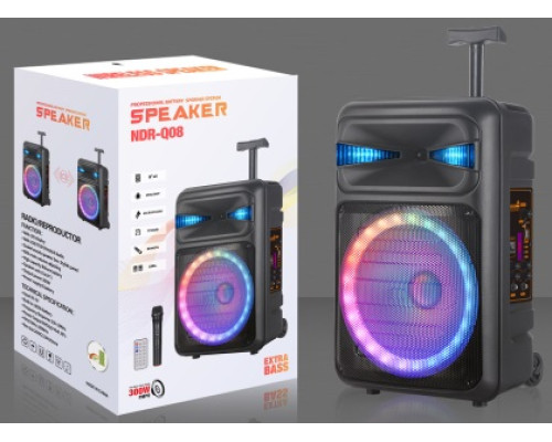 Акустична система NDR-2680 (8"+6.5") (10W) (Дротовий мікрофон) (18650) (Пульт)