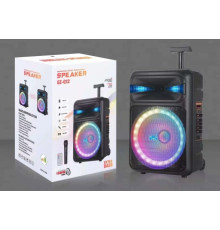 Акустична система NDR-Q12 (12"x1) (30W) (Бездротовий мікрофон) (Пульт)