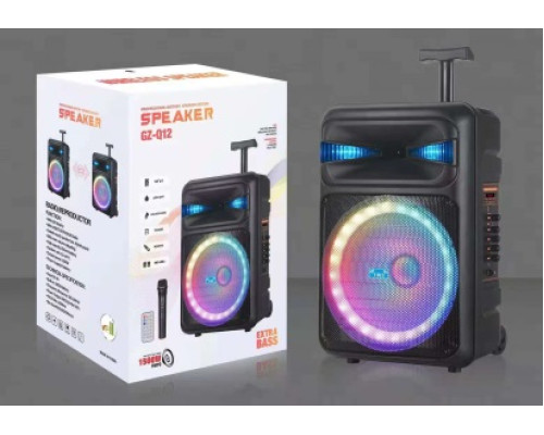 Акустична система NDR-Q12 (12"x1) (30W) (Бездротовий мікрофон) (Пульт)