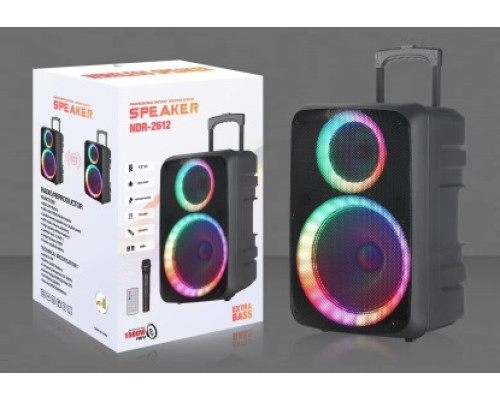 Акустична система NDR-612 (12"x1) (30W) (Бездротовий мікрофон) (Пульт)